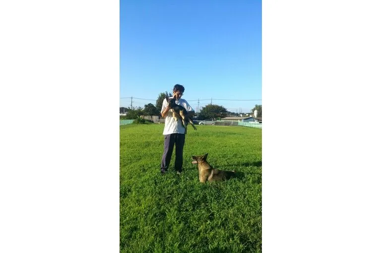 神奈川県相模原市大島にある犬の学校・四分一訓練所のご紹介