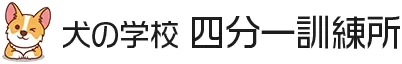 犬の長期お預かりをお考えなら神奈川県の四分一訓練所へ
