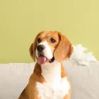 コンセプト