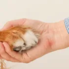 アクセス
